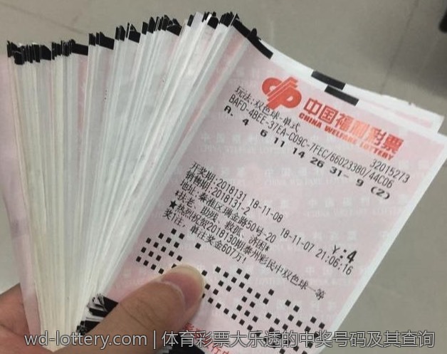 体育彩票对家庭经济的影响与思考